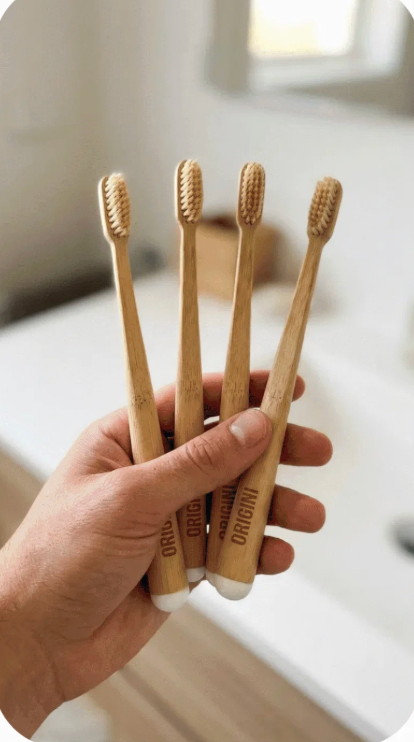 Lot de brosses à dents Teralym