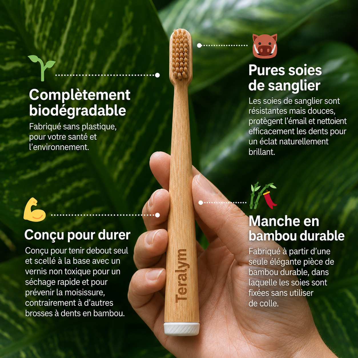 Brosse à dent en Bamboo