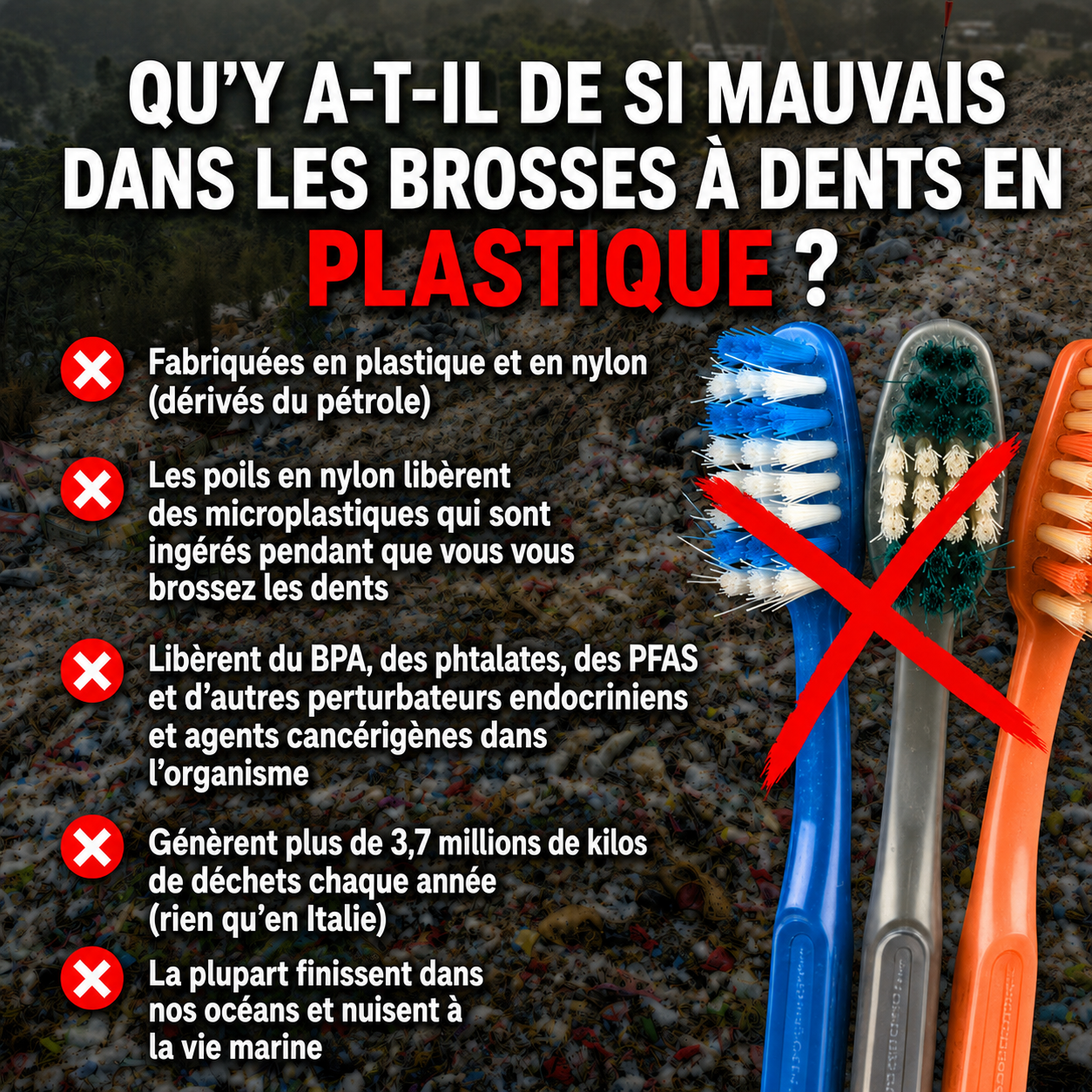 Brosse à dent en Bamboo